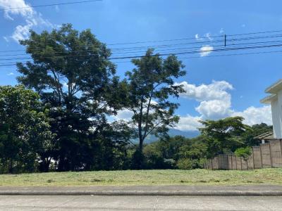 Colón Mora, San José 10701, Costa Rica