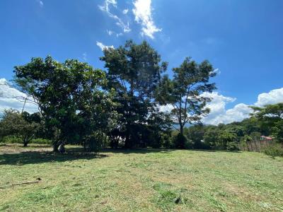 Colón Mora, San José 10701, Costa Rica
