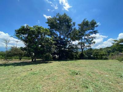 Colón Mora, San José 10701, Costa Rica