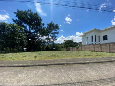 Colón Mora, San José 10701, Costa Rica