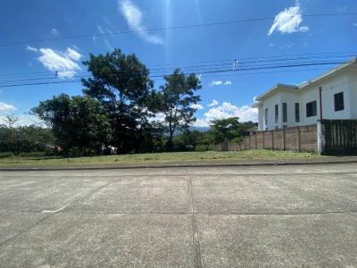 Colón Mora, San José 10701, Costa Rica
