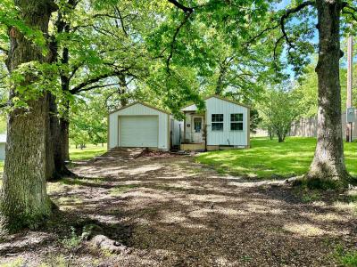348 W Miller Street, Pleasant Hope, Missouri 65725