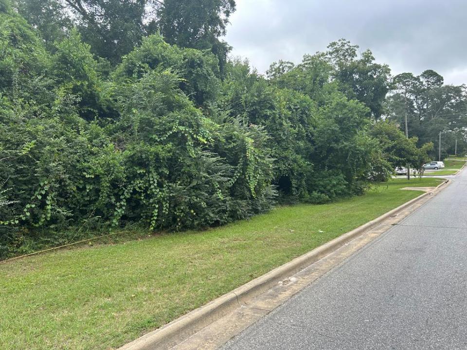 307 E Pope Street, Sylvester, Georgia 31791, USA