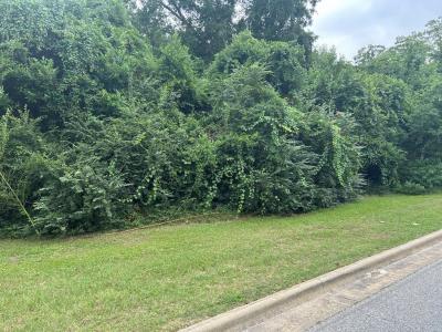 307 E Pope Street, Sylvester, Georgia 31791, USA