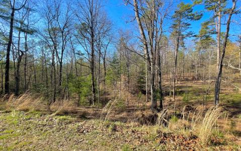 LT 188 Lemmon Lane, Ellijay, Georgia 30540, HOA KỲ
