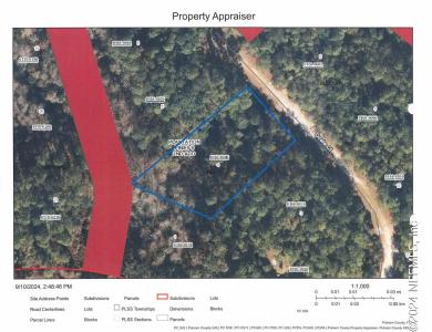 209 Ocala Ct, Georgetown, Florida 32139, USA