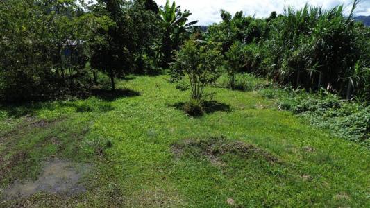 Turrialba Turrialba, Cartago 30501, Коста-Рика