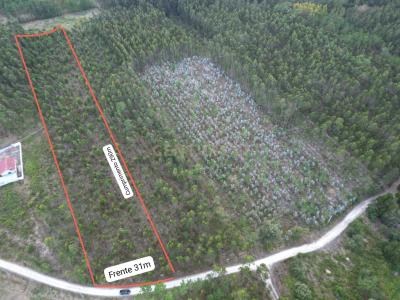 Leiria, Leiria 2405-029, Portugal