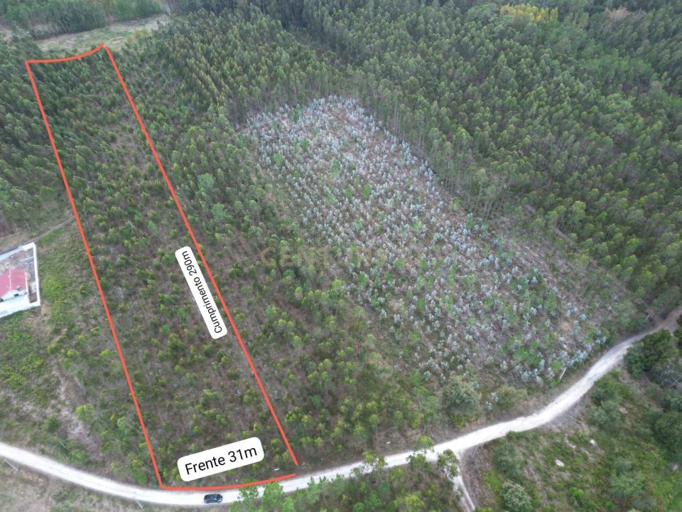 Leiria, Leiria 2405-029, Portugalia