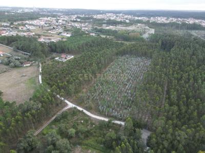 Leiria, Leiria 2405-029, Portugalia