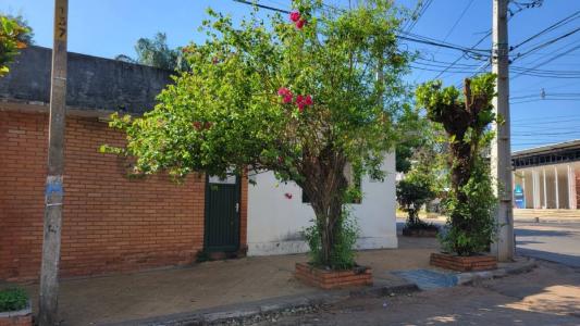 Mburucuyá, Asunción 00001, Парагвай