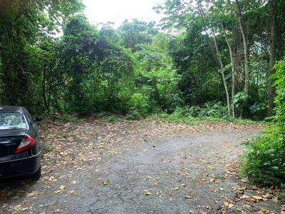 Caracas, Miranda 00001, Venezuela