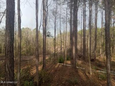 139e Old Highway 26, Lucedale, 密西西比州 39452, 美國