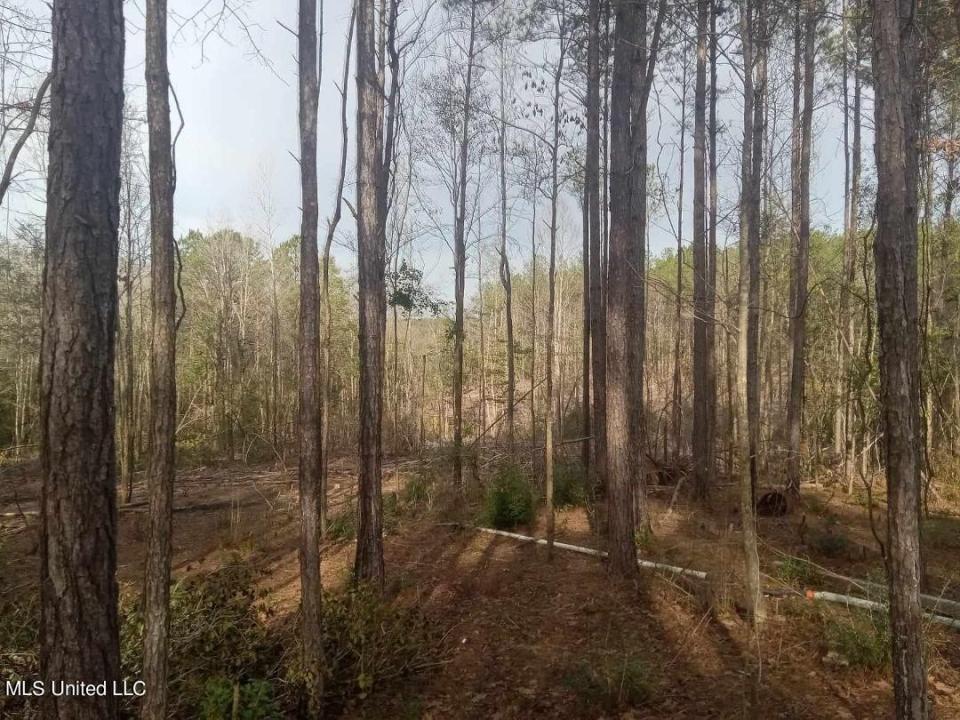 139e Old Highway 26, Lucedale, Mississippi 39452, Amerika Birleşik Devletleri