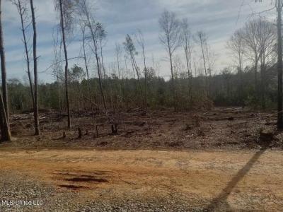 139e Old Highway 26, Lucedale, Mississippi 39452, Amerika Birleşik Devletleri