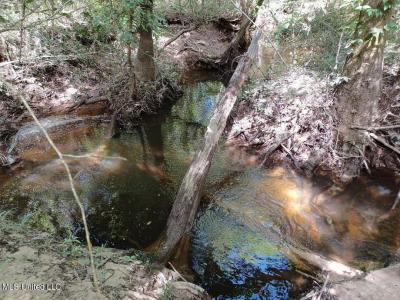 139e Old Highway 26, Lucedale, Mississippi 39452, Amerika Birleşik Devletleri