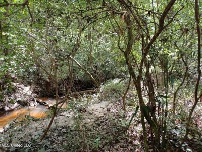 139e Old Highway 26, Lucedale, Mississippi 39452, Amerika Birleşik Devletleri