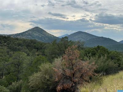 XX N Swan Street, Silver City, NM 88061, USA