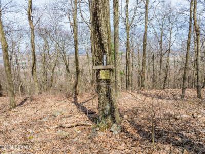 121 Evergreen Lane, Catawissa, Pennsylvania 17820, USA