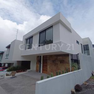 Cuernavaca, Morelos 62130, Mexico