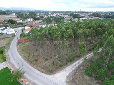 Leiria, Leiria 2405-029, Portugal