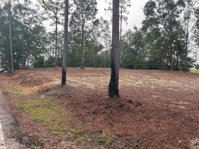 0 Greenbriar Ave, Sylvester, Georgia 31791, USA