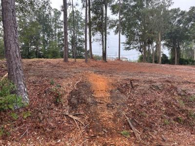 0 Greenbriar Ave, Sylvester, Georgia 31791, USA