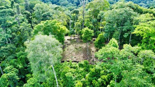 Bahía Ballena Osa, Puntarenas 00001, Costa Rica