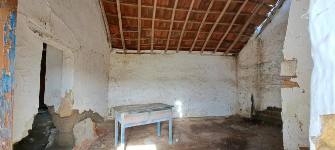 Coruche, Santarem 2100-039, Portugal