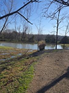 610 Polk Road 35, Hatfield, Arkansas 71945, Estados Unidos