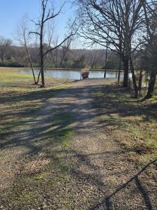 610 Polk Road 35, Hatfield, Arkansas 71945, USA