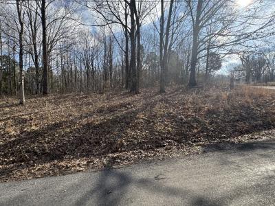 0 Crestview Dr, Bumpus Mills, Tennessee 37028, Stati Uniti