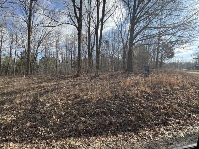 0 Crestview Dr, Bumpus Mills, Tennessee 37028, Stati Uniti