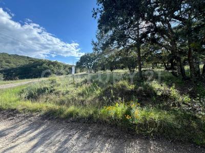 vergel de la sierra s/n,, San Felipe, Guanajuato 37600, Messico