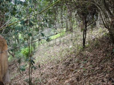 gavilan via papelon 10 23´05´´N 66 48´49´´W, Caracas, Miranda 1060, Venzuela