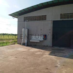San Vicente, Monagas 6201, Venezuela