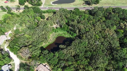 13488 State Hwy 19, Canton, Texas 75103, USA