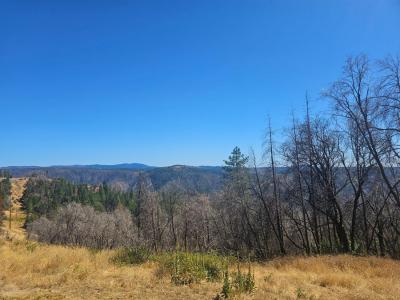 23920 Foresthill Road, Foresthill, Калифорния 95631, Соединенные Штаты