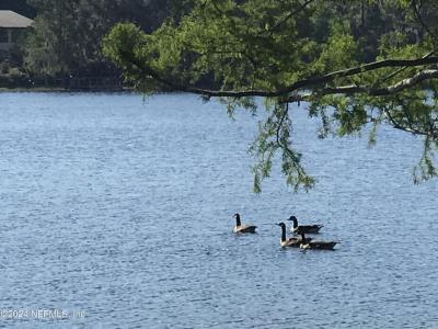 SIMPSON Drive, Interlachen, Florida 32148, Amerika Birleşik Devletleri