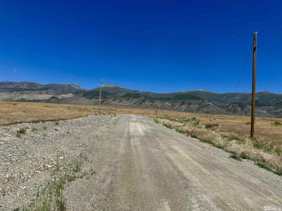 11655 Indian Creek Rd, Lovelock, Nevada 89419, États-Unis