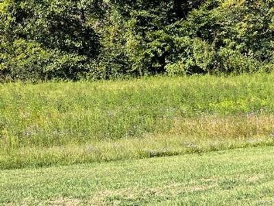 6 Lot Ridgefield Drive, Cape Girardeau, Missouri 63701, USA