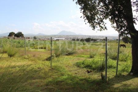 Nopalucan, プエブラ 75120, メキシコ