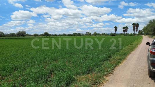 parcela 968 lote 3 3,, Rincón De Romos, Aguascalientes 20400, Mexico