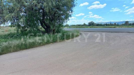 parcela 968 lote 3 3,, Rincón De Romos, Aguascalientes 20400, Mexico
