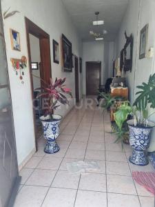 ولاية بويبلا , ولاية بويبلا 72530, المكسيك