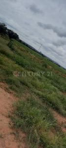 Pinos, زاكاتيكاس 98920, المكسيك