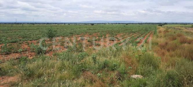 Pinos, Zacatecas 98920, Messico