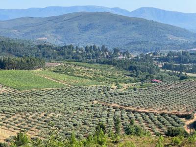 Fundão, Castelo Branco 6230-152, Portugalia