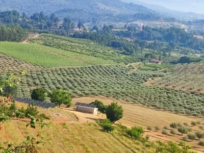 Fundão, Castelo Branco 6230-152, Portugalia