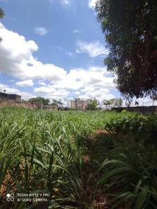 Av Jose tadeo Monagas, sector Las Cocuizas-via la Pica Carrera 1 entre Calle 12 y 13, Maturín, Monagas 6201, Venezuela